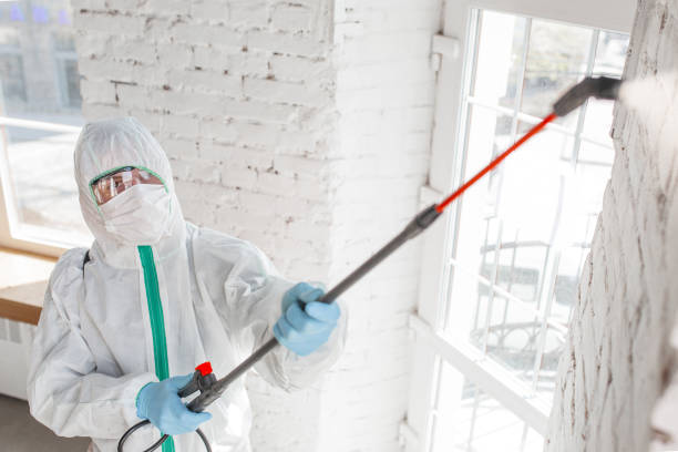Best Mold Remediation for Healthcare Facilities  in Westwood, MI