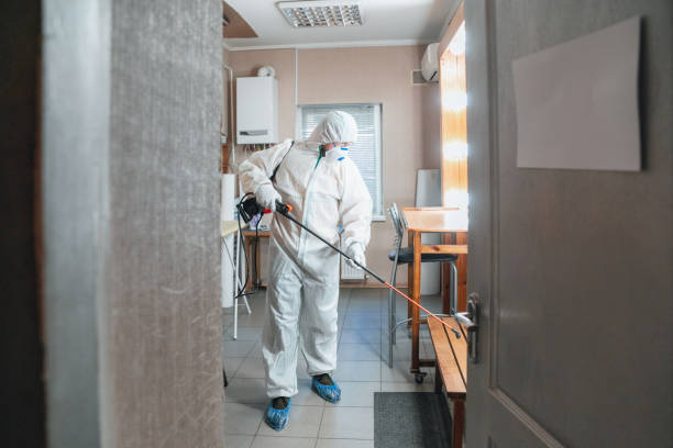 Best Black Mold Removal  in Westwood, MI