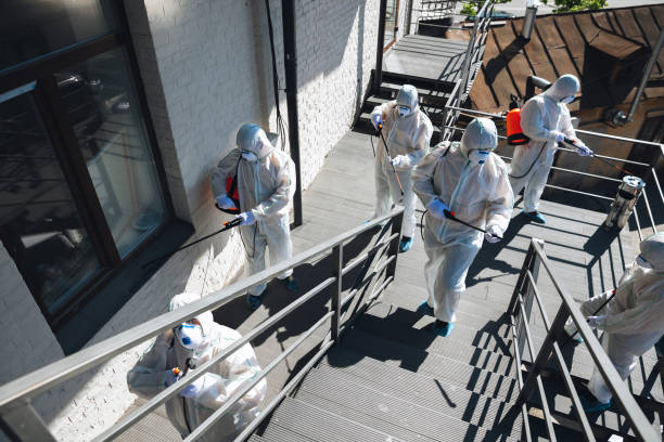 Best Mold Prevention Services  in Westwood, MI