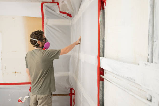 Best Environmental Consulting for Mold Prevention  in Westwood, MI