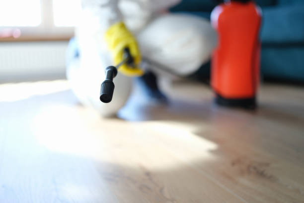Best Basement Mold Removal  in Westwood, MI