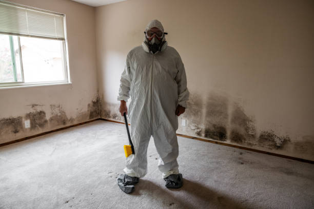 Best Mold Removal for HVAC Installations  in Westwood, MI